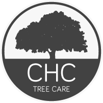 Providing More Local Traffic & Conversions Digital Marketing Case Study: CHC Tree Care: SEO, PPC & Web