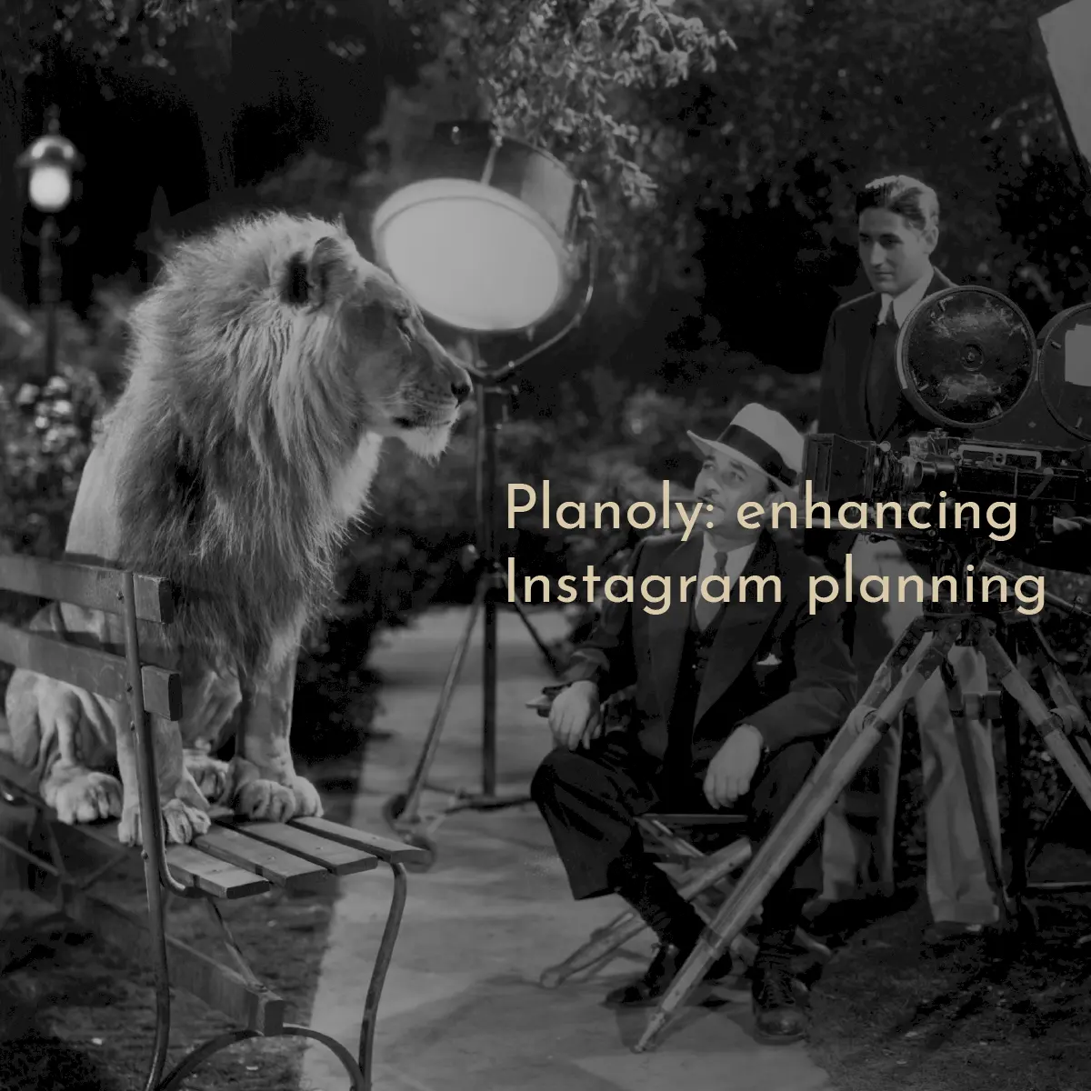 Planoly: enhancing Instagram planning