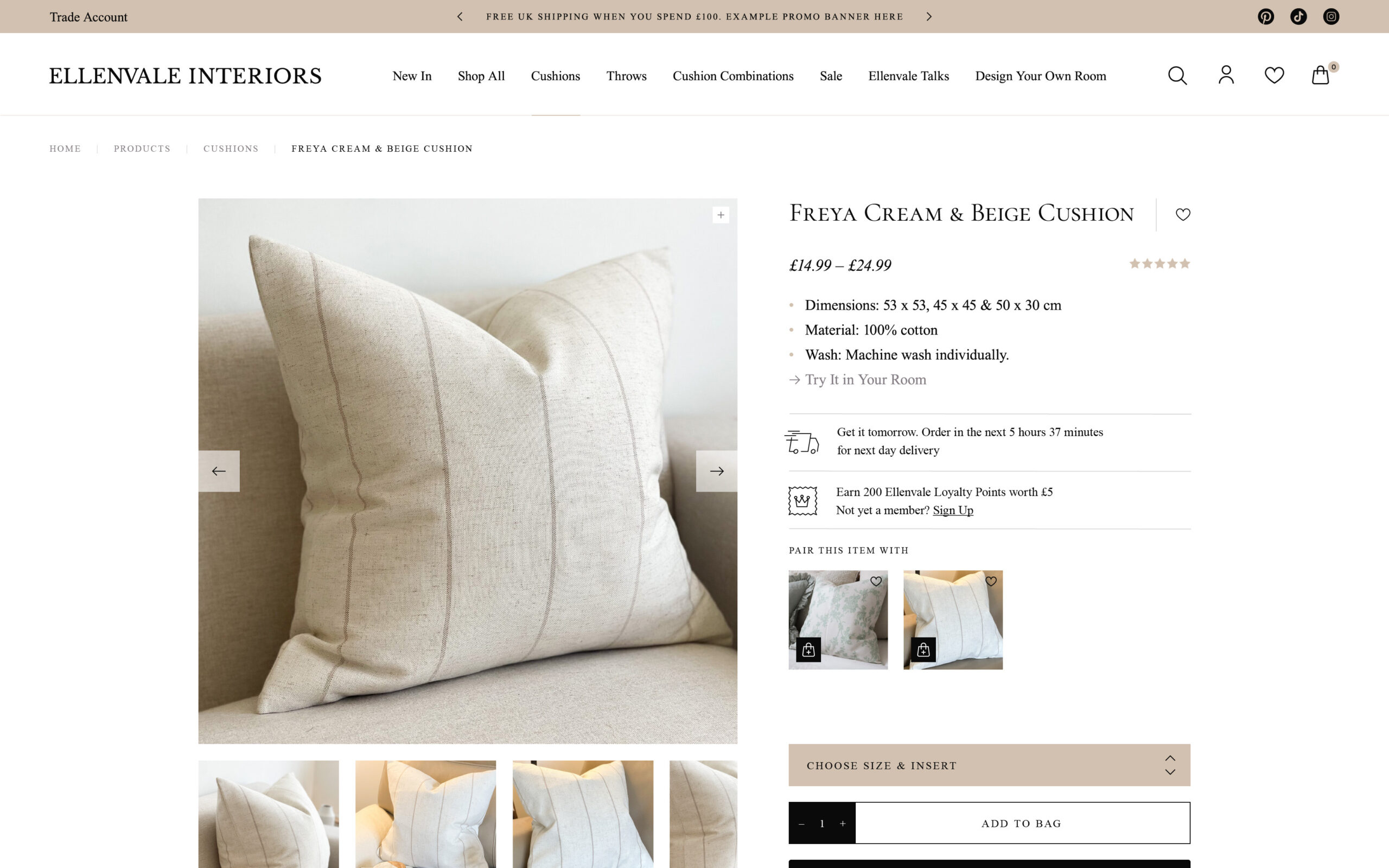 ellenvaleinteriors.com